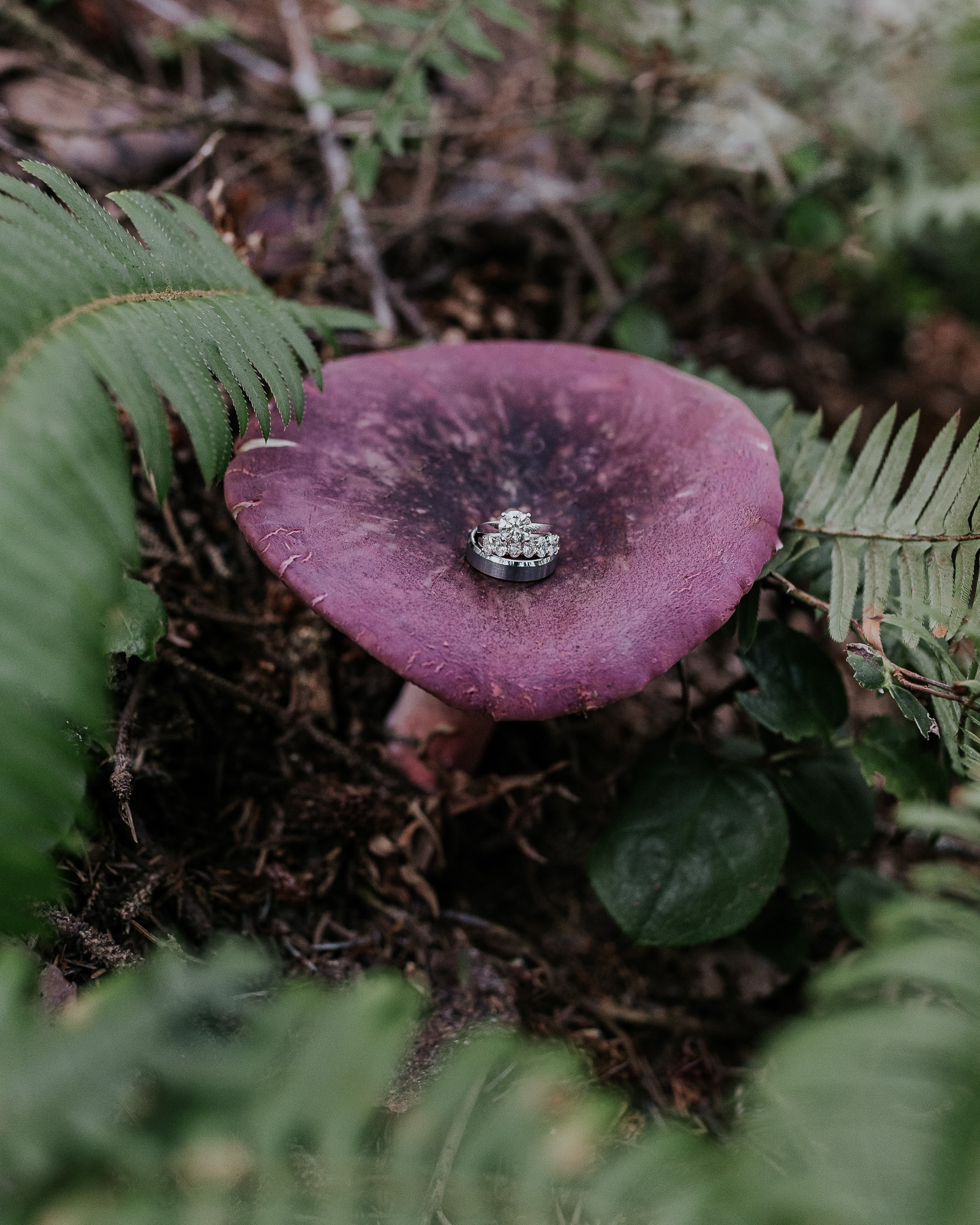 mushroom wedding ring elopement forest